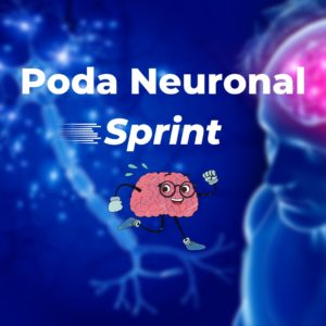 Taller de Poda neuronal en Sprint